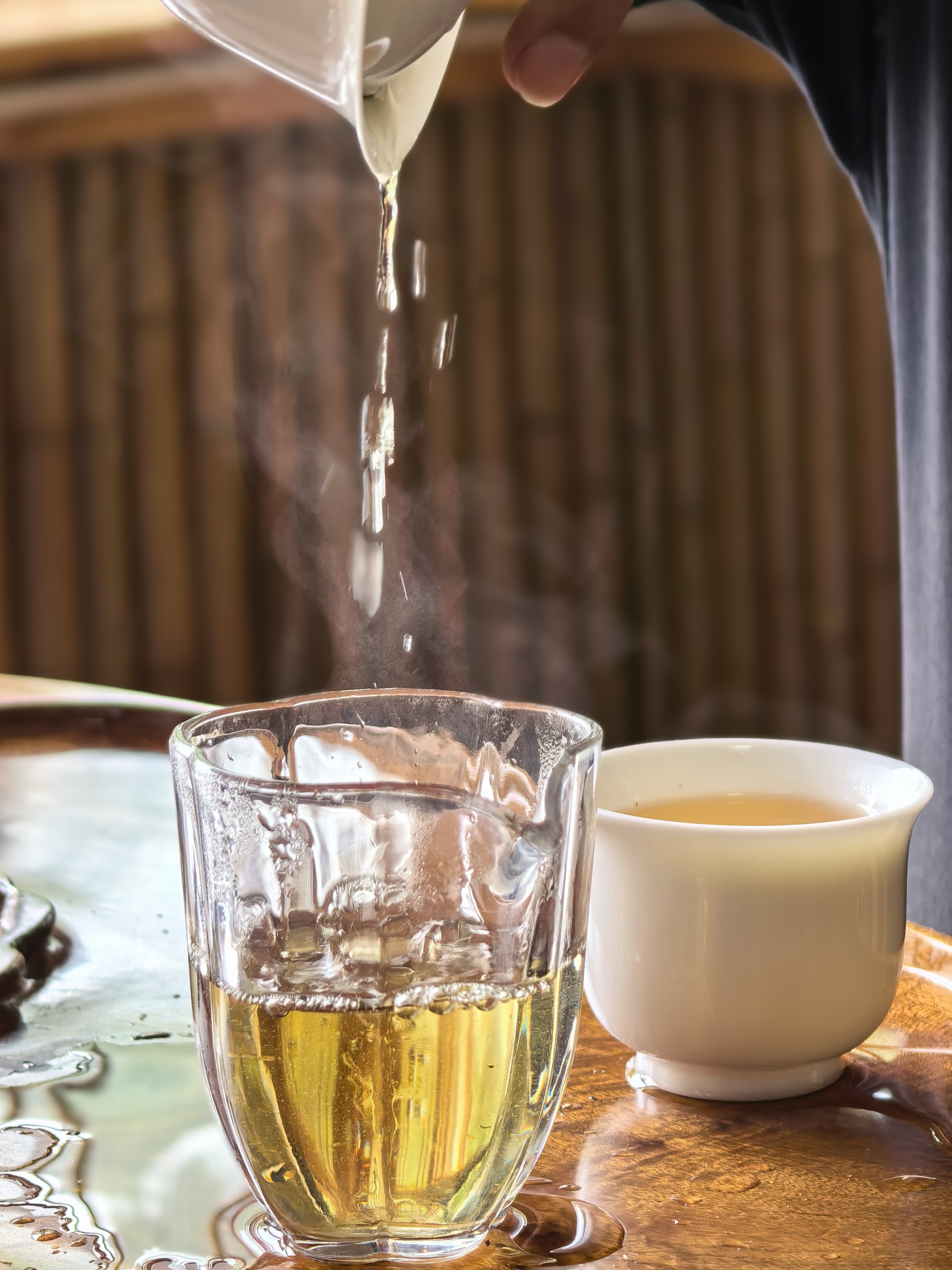 菊苣茶成品展示